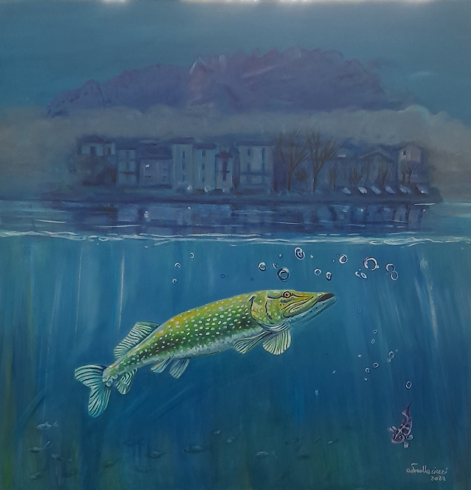 Il Luccio I olio su tela I 85x85 I 2023